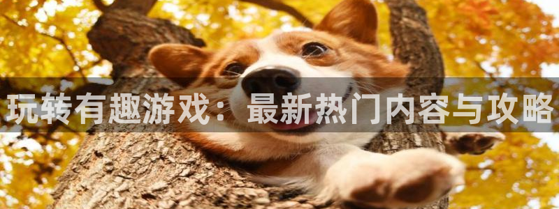 赢咖娱乐注册平台