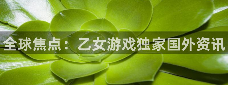 赢咖娱乐线路测试
