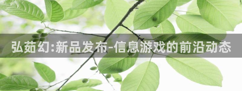 赢咖娱乐平台官网入口：弘茹幻:新品发布-信息游戏的前沿动态