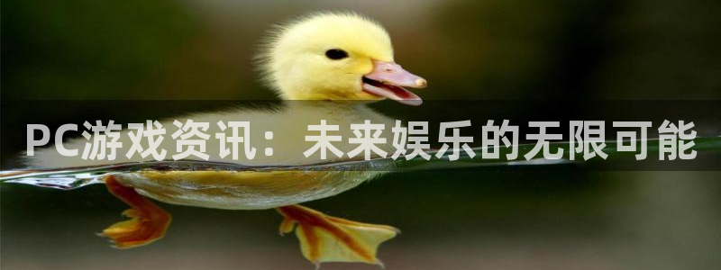 赢咖娱乐注册平台：PC游戏资讯：未来娱乐的无限可能