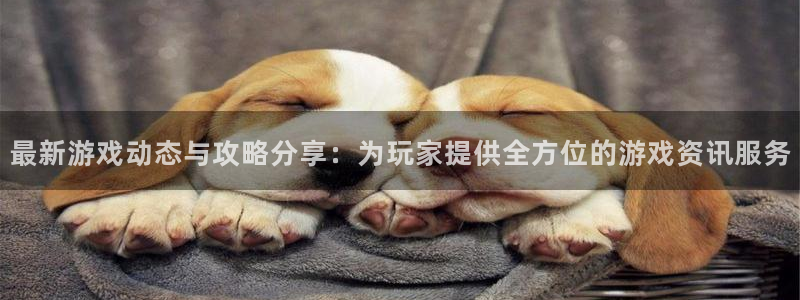 赢咖娱乐注册服务条款：最新游戏动态与攻略分享：为玩家提供全方
