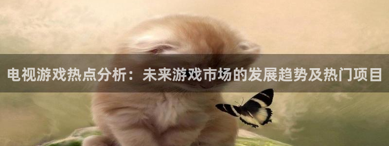 赢咖娱乐主管:电视游戏热点分析:未来游戏市场的发展趋势及热门