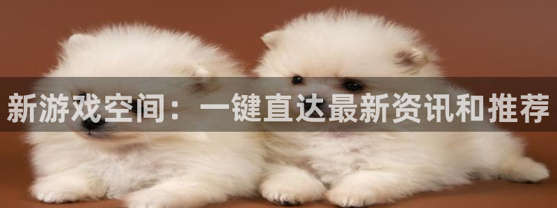 赢咖娱乐的意思:新游戏空间:一键直达最新资讯和推荐