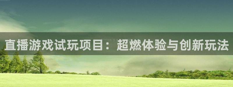 赢咖娱乐科技：直播游戏试玩项目：超燃体验与创新玩法