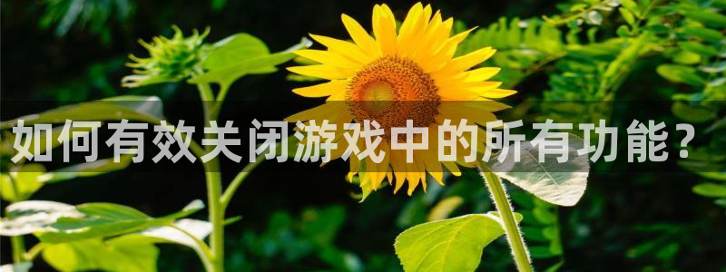 赢咖娱乐网址官网：如何有效关闭游戏中的所有功能？