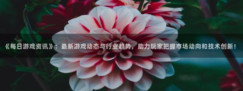 赢咖小记35994刭