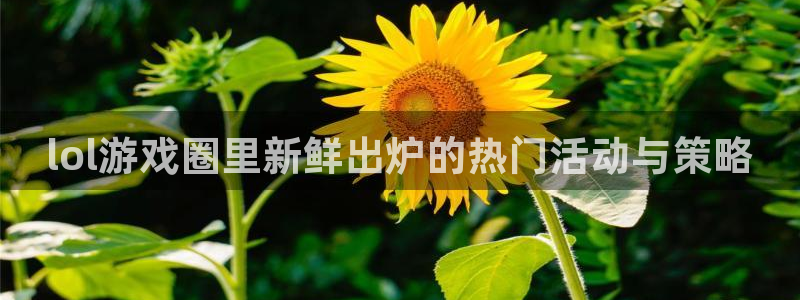 赢咖集团