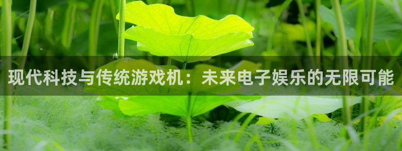 赢咖3这个平台怎么样