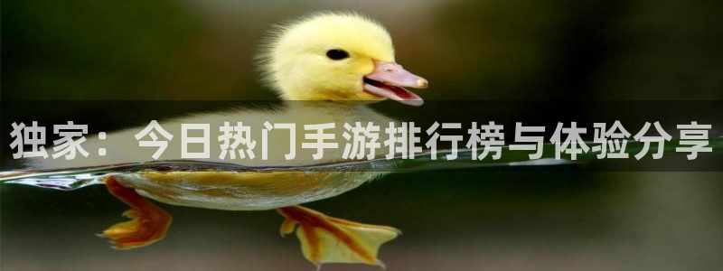 赢咖6官网更新内容