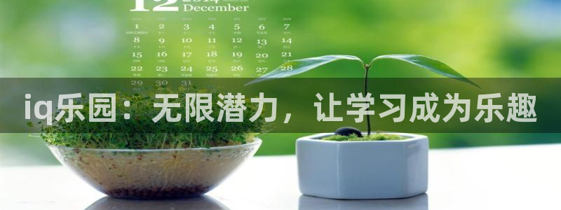 赢咖3这个平台怎么样：iq乐园：无限潜力，让学习成为乐趣