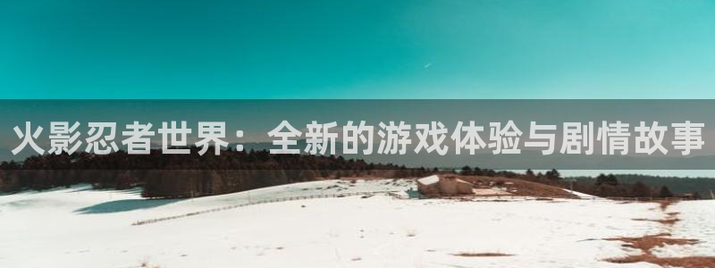 赢咖lll
