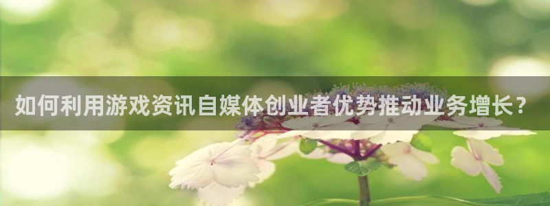 赢咖6代理：如何利用游戏资讯自媒体创业者优势推动业务增长？