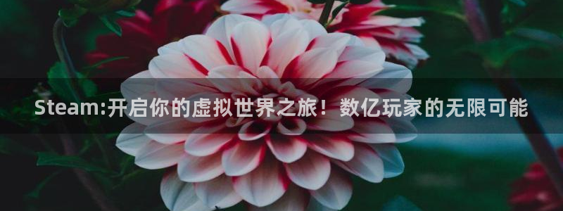 赢咖平台注册登录：Steam:开启你的虚拟世界之旅！数亿玩家